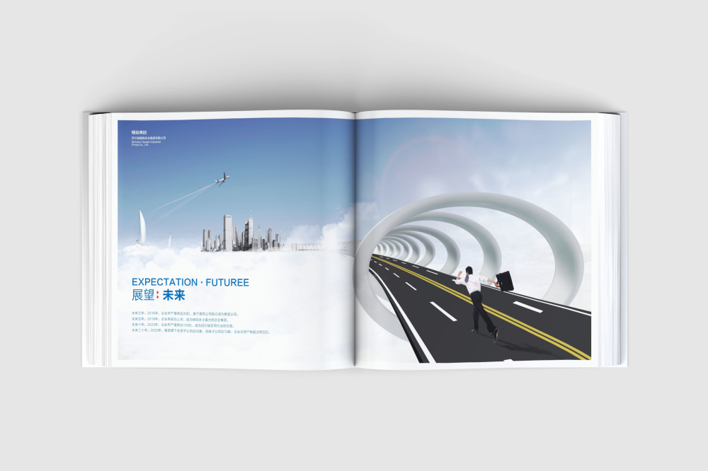 米易县画册设计